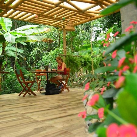 La Percha Hostal Palomino Ngoại thất bức ảnh